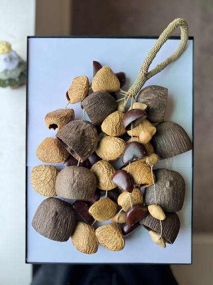Natural Shell Wind Chime, Healing Water Sound, Meditation Decor