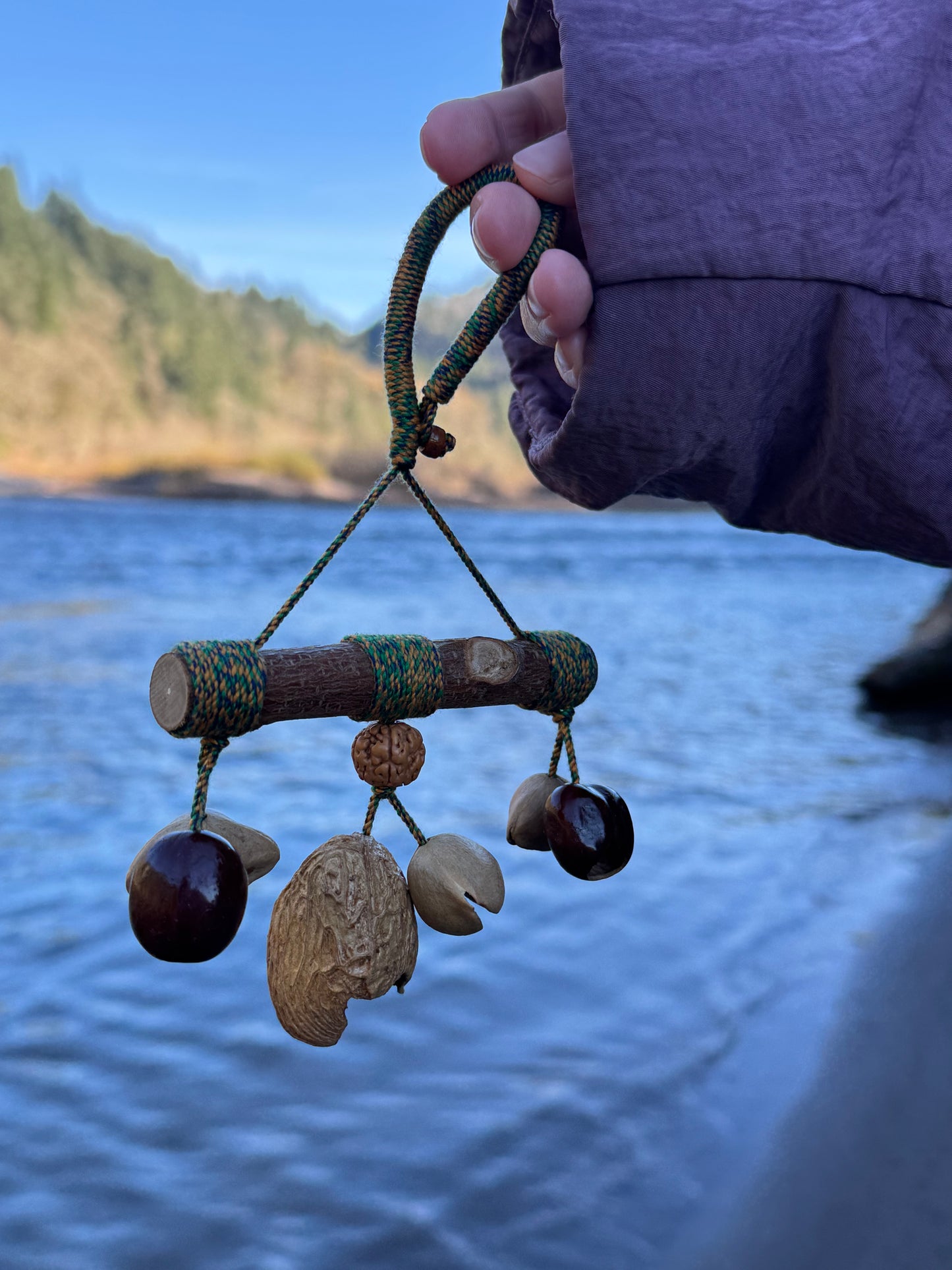 Natural Zen Hanging Charm, Unique Seed & Wood Ornament
